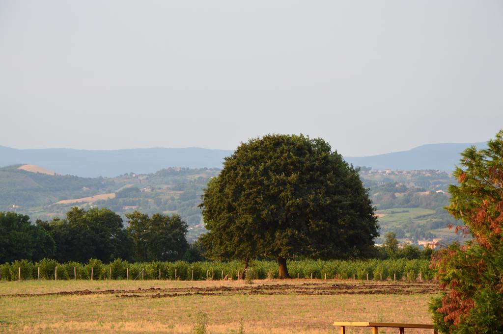 Fattoria Lucciano Villa Borghetto  Cameră foto