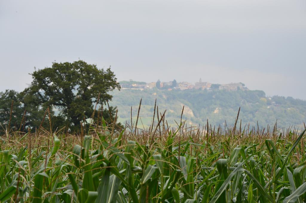 Fattoria Lucciano Villa Borghetto  Exterior foto