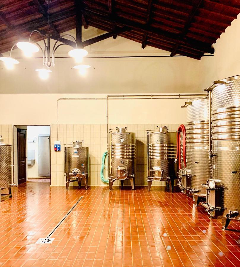 Fattoria Lucciano Villa Borghetto  Exterior foto